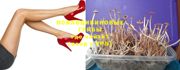 гидропоника Сафоново