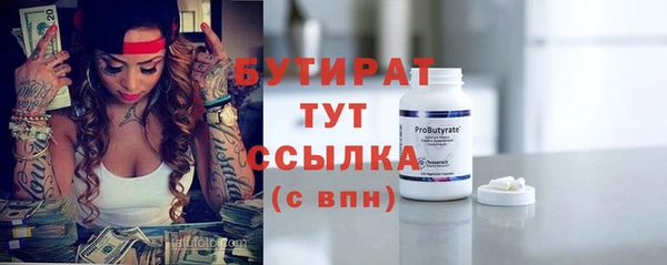 шишки Ельня