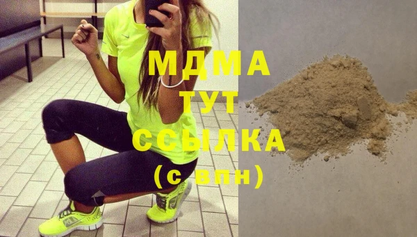 шишки Ельня