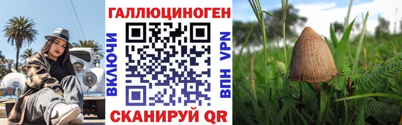 Псилоцибиновые грибы мухоморы mega ONION Донской что такое