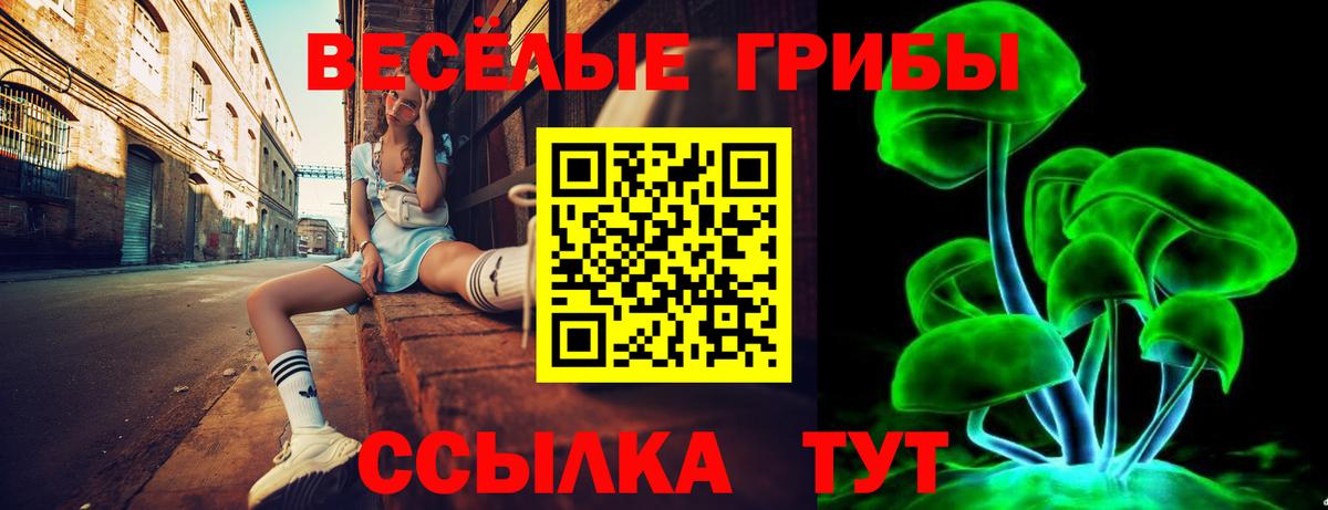 Псилоцибиновые грибы Magic Shrooms  Вход с VPN  Донской 